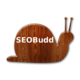 SEOBudd SEO Keyword Targeter WordPress Plugin