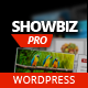 Showbiz Pro Responsive Teaser WordPress Plugin