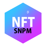 Simple NFT Protection Manager