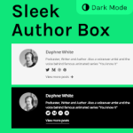 Sleek Author Box