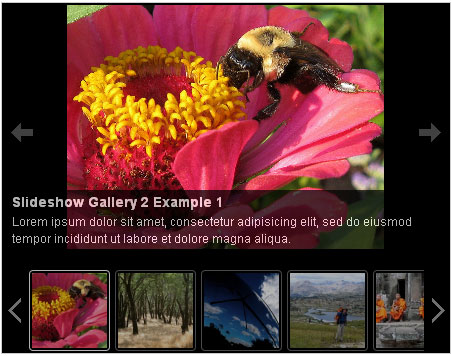 Slideshow Gallery Pro Preview Wordpress Plugin - Rating, Reviews, Demo & Download