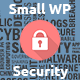 Small WP Security
