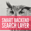 Smart Backend Search Layer