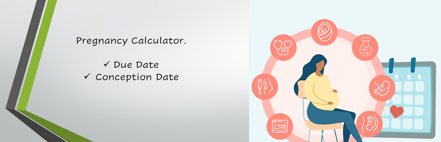 Smart Pregnancy Calculator Preview Wordpress Plugin - Rating, Reviews, Demo & Download