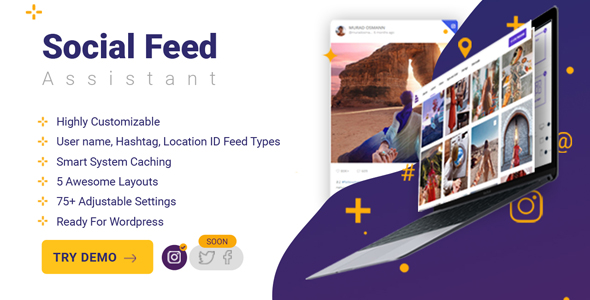 Social Feed Assistant Preview Wordpress Plugin - Rating, Reviews, Demo & Download