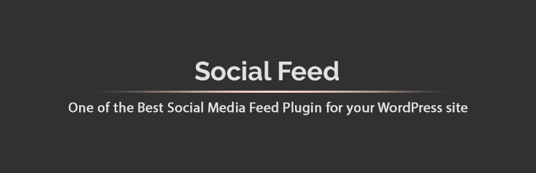 Social Feed | Custom Feed For Social Media Networks Preview Wordpress Plugin - Rating, Reviews, Demo & Download