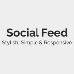Social Feed | Custom Feed For Social Media Networks