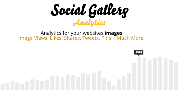 Social Gallery Analytics Add On Preview Wordpress Plugin - Rating, Reviews, Demo & Download