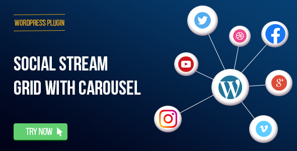 Social Stream Plugin for Wordpress With Carousel Preview - Rating, Reviews, Demo & Download