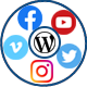 Social Stream For WordPress With Carousel