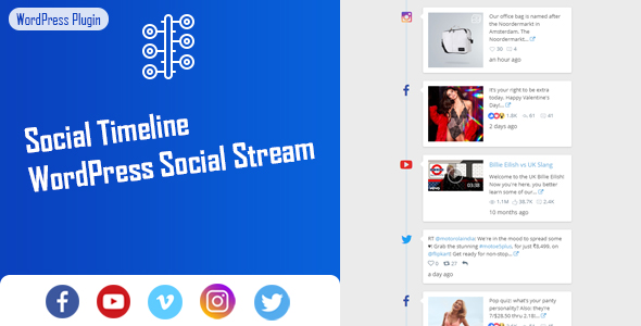 Social Timeline – WordPress Social Stream Preview - Rating, Reviews, Demo & Download