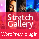 Stretch Gallery WordPress Plugin