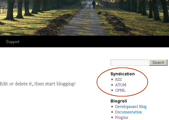 Syndication-widget Preview Wordpress Plugin - Rating, Reviews, Demo & Download