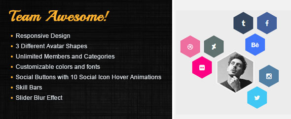 Team Awesome Preview Wordpress Plugin - Rating, Reviews, Demo & Download