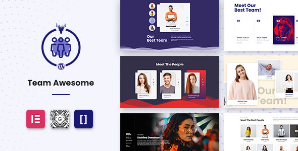 Team Awesome Pro – Team Member Showcase WordPress Plugin Preview - Rating, Reviews, Demo & Download