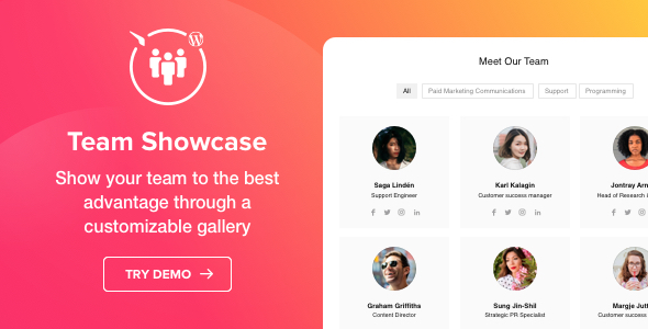 Team Showcase – WordPress Plugin Preview - Rating, Reviews, Demo & Download