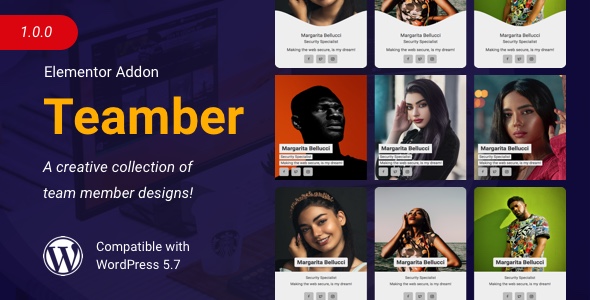Teamber | Team Member Collection For Elementor Preview Wordpress Plugin - Rating, Reviews, Demo & Download