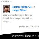 TheThe Posts And Comments Widgets