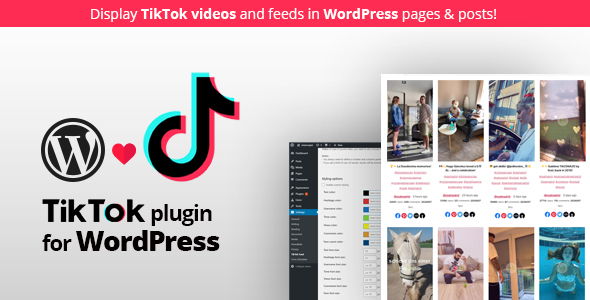 TikTok Feed Plugin For WordPress Preview - Rating, Reviews, Demo & Download