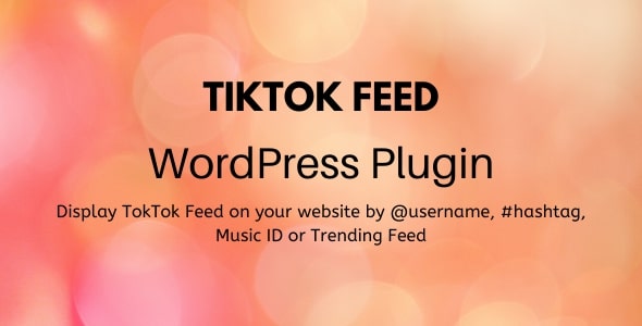 TikTok Feed – WordPress Plugin Preview - Rating, Reviews, Demo & Download