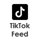 TikTok Feed – WordPress Plugin