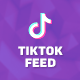 TikTok User Videos Feed For WordPress