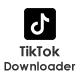 TikTok Video Downloader Without Watermark – WordPress Plugin