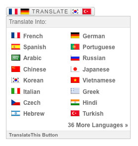 Translate This Button Preview Wordpress Plugin - Rating, Reviews, Demo & Download