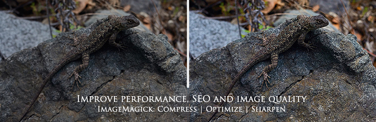 Ultimate Image Optimization Helpers Preview Wordpress Plugin - Rating, Reviews, Demo & Download