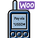 USSD Mobile Banking Payment