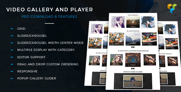 Video Gallery And Player Pro Preview Wordpress Plugin - Rating, Reviews, Demo & Download