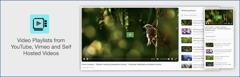 Video Gallery & Playlist: Youtube, Vimeo And Self Hosted Videos Preview Wordpress Plugin - Rating, Reviews, Demo & Download