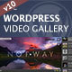 Video Gallery Wordpress Plugin /w YouTube, Vimeo, Facebook Pages