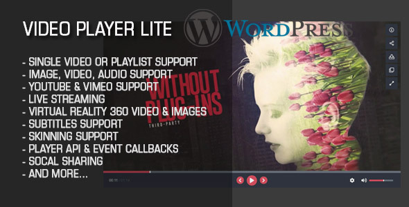 Video Player Lite Wordpress Plugin Preview - Rating, Reviews, Demo & Download