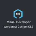 Visual Developer Custom CSS