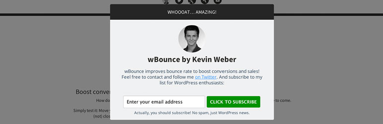 WBounce Preview Wordpress Plugin - Rating, Reviews, Demo & Download