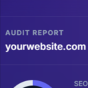WebAudit Website Widget