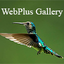 WebPlus Gallery On WordPress