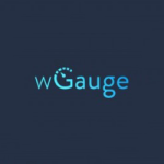 WGauge – Free Version