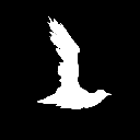 White Dove (CSS Animated Flying Bird)