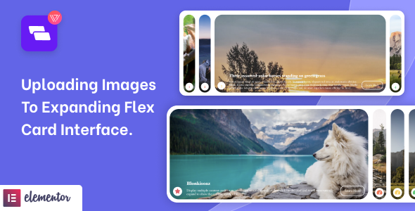 Wiloke Expanding Flex Cards Elementor Addon Preview Wordpress Plugin - Rating, Reviews, Demo & Download