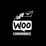 Woo Order Export To Constant Contact (FREE)