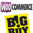 Woocommerce Bigbuy Import