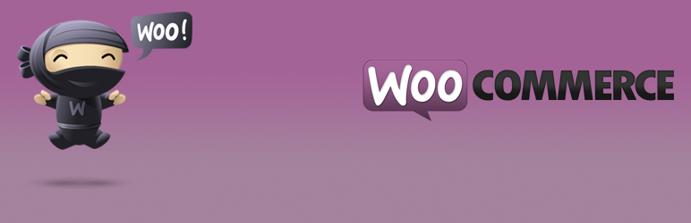 WooCommerce Checkout Password Strength Meter Preview Wordpress Plugin - Rating, Reviews, Demo & Download