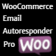 WooCommerce Email Autoresponder Pro