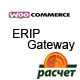 Woocommerce ERIP Gateway (Belarus)