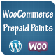WooCommerce Prepaid Points – Revolutionary Payment Method
