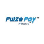 WooCommerce PulzePay