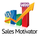WooCommerce Sales Motivator WordPress Plugin