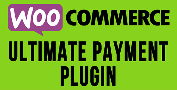 WooCommerce Ultimate Payment Plugin For Bluepay, NMI, And Braintree Payments Preview - Rating, Reviews, Demo & Download